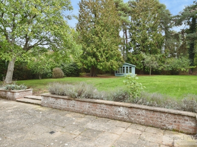 Picture 7